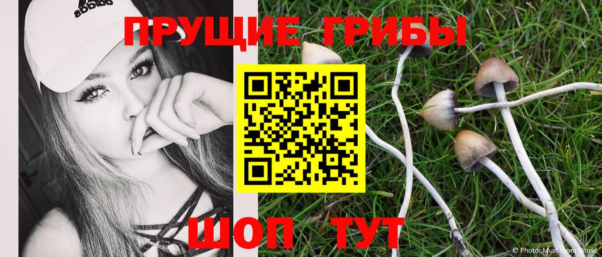 Казань  Псилоцибиновые грибы прущие грибы  закладки  Вход с VPN 